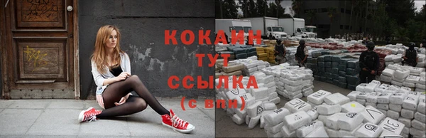 винт Бронницы