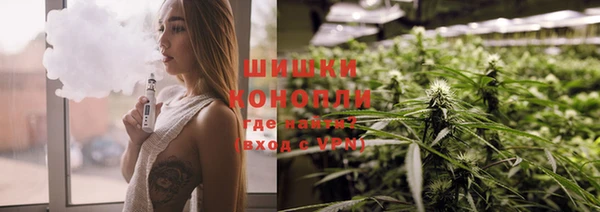 винт Бронницы