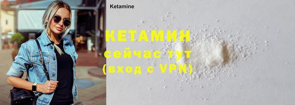 гидра Бородино
