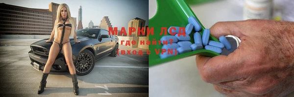 гидра Бородино