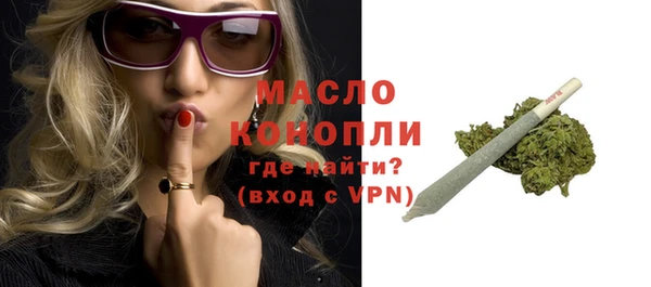 гидра Бородино