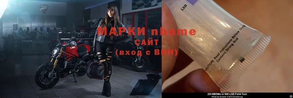 гидра Бородино