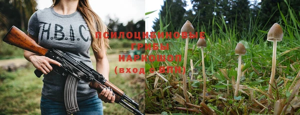 винт Бронницы