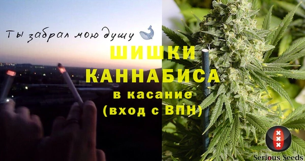 гидра Бородино