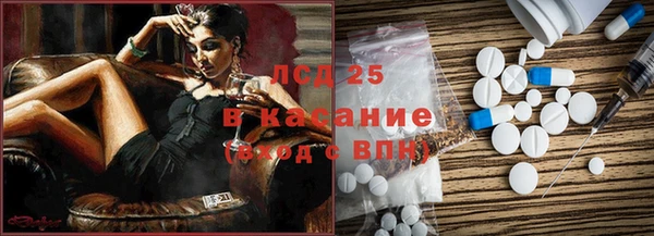 гидра Бородино