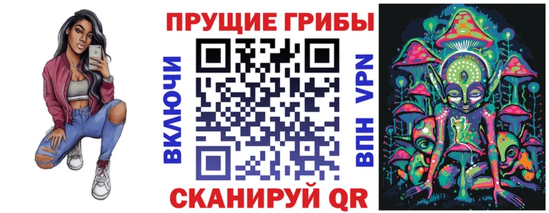Купить Невельск Псилоцибиновые грибы Cubensis